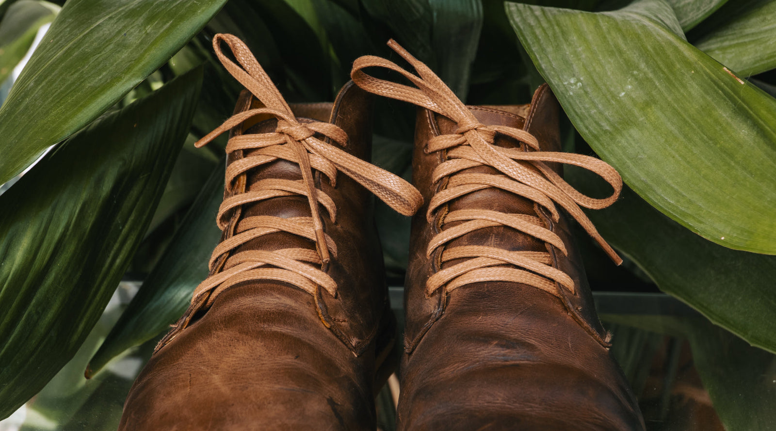 Mantención & Cuidados - BESTIAS