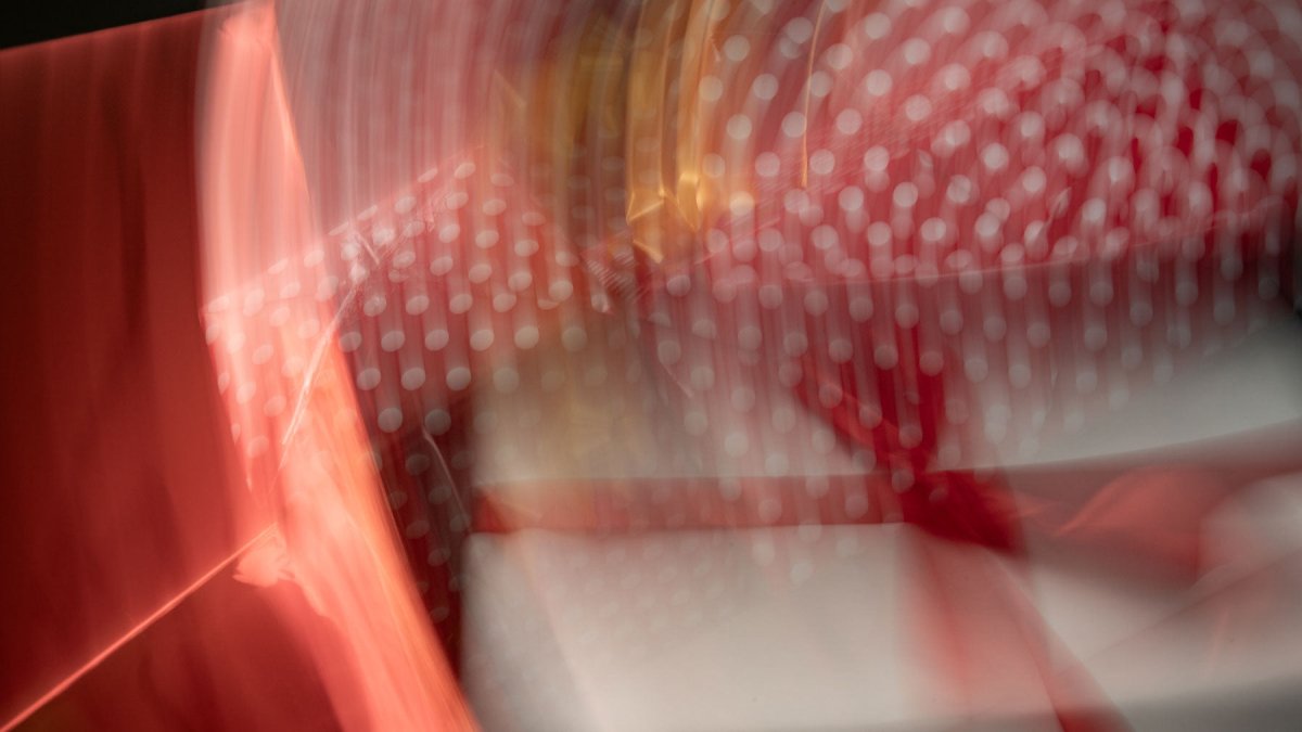 Regalos Giftguide 2025 - XX - BESTIAS