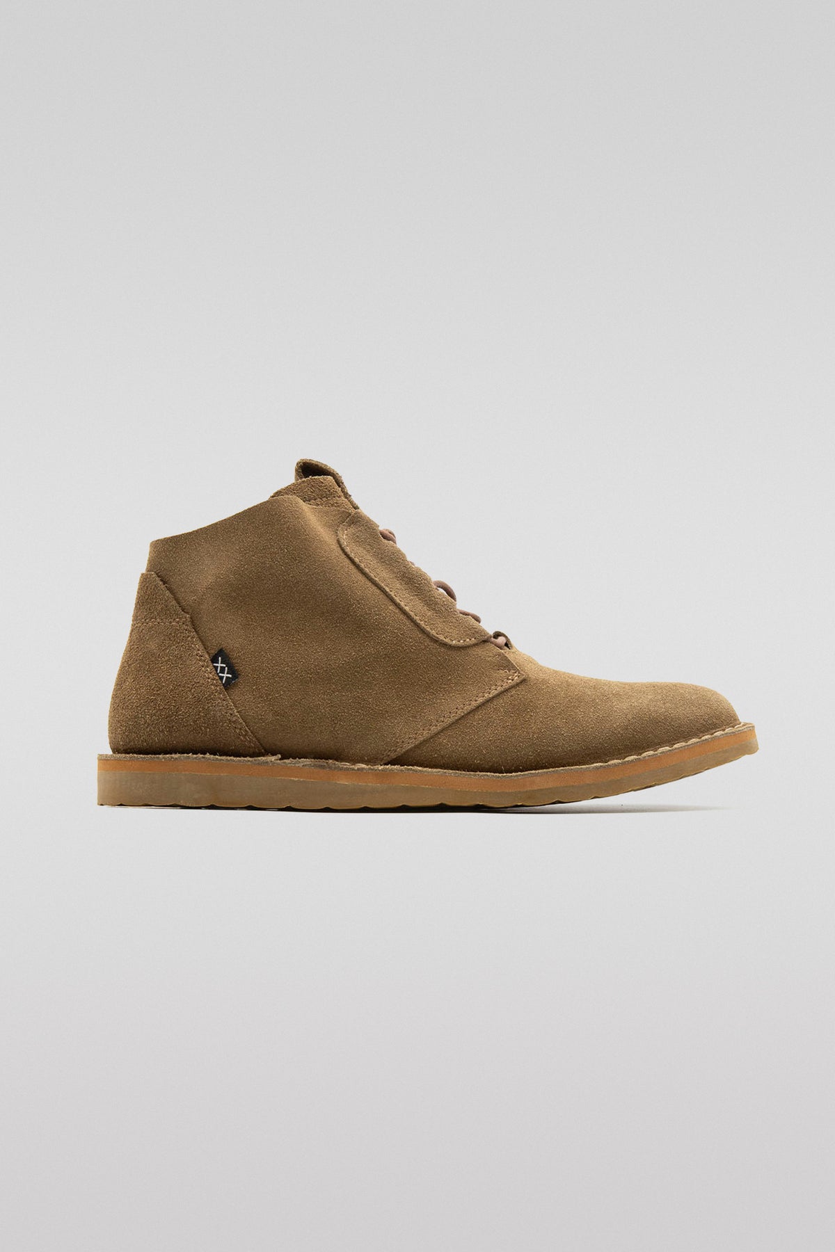 Dingo | Almendra - 40