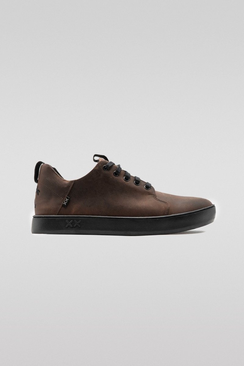 Monkey | Brown - 40